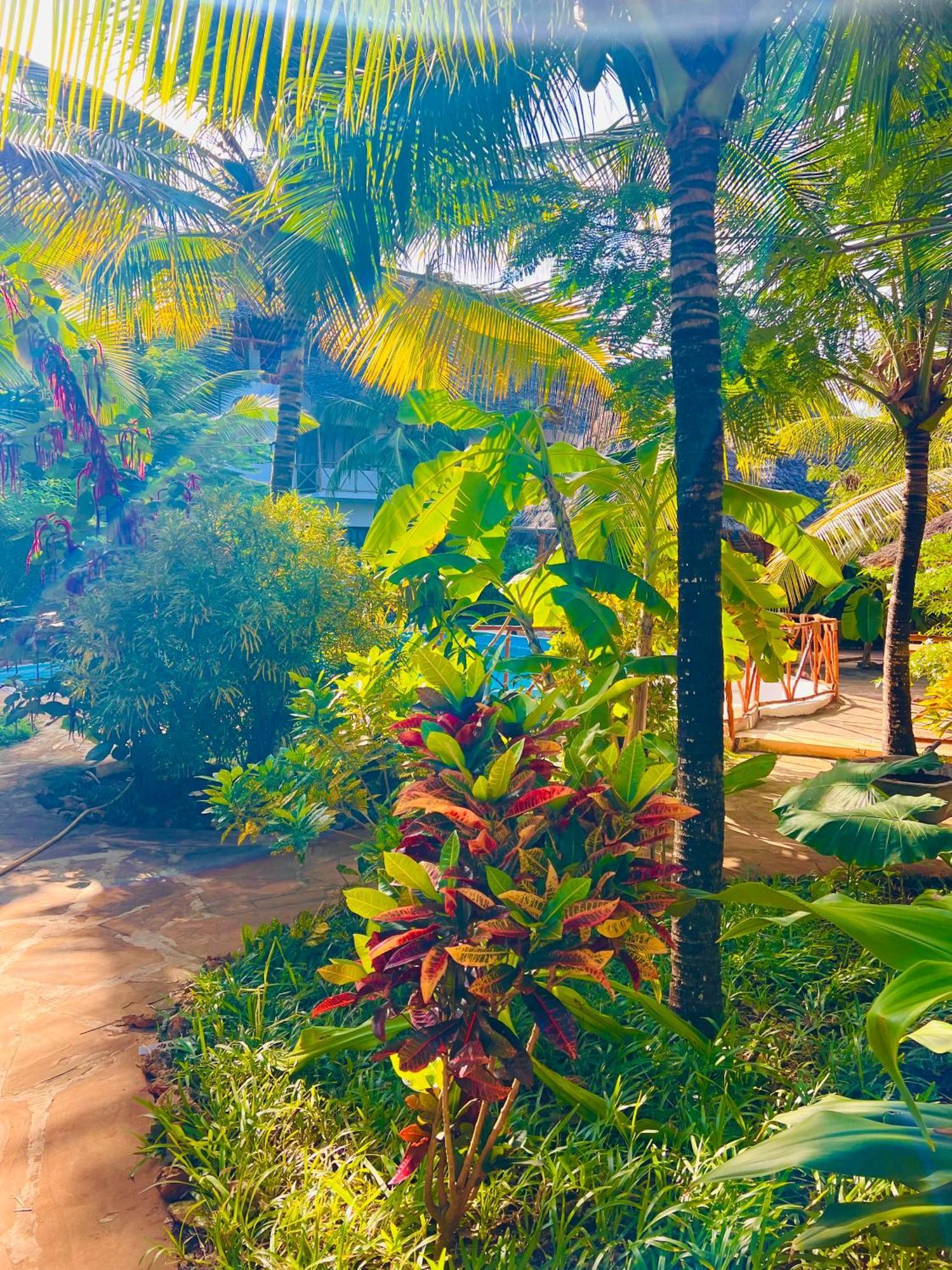 Tropical Nungwi Hotel Kültér fotó