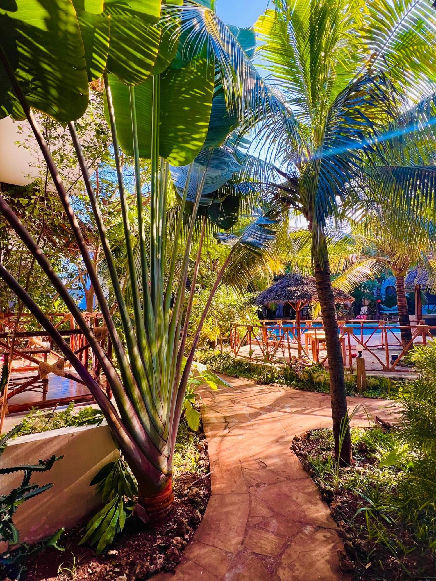 Tropical Nungwi Hotel Kültér fotó