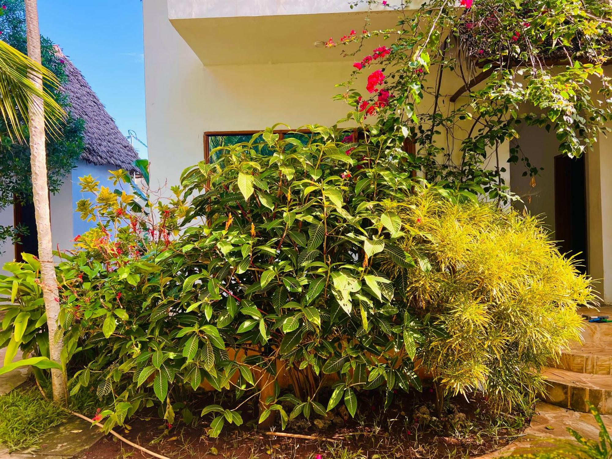Tropical Nungwi Hotel Kültér fotó
