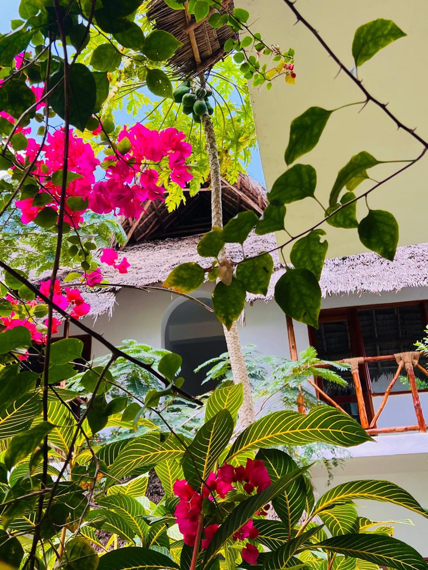 Tropical Nungwi Hotel Kültér fotó