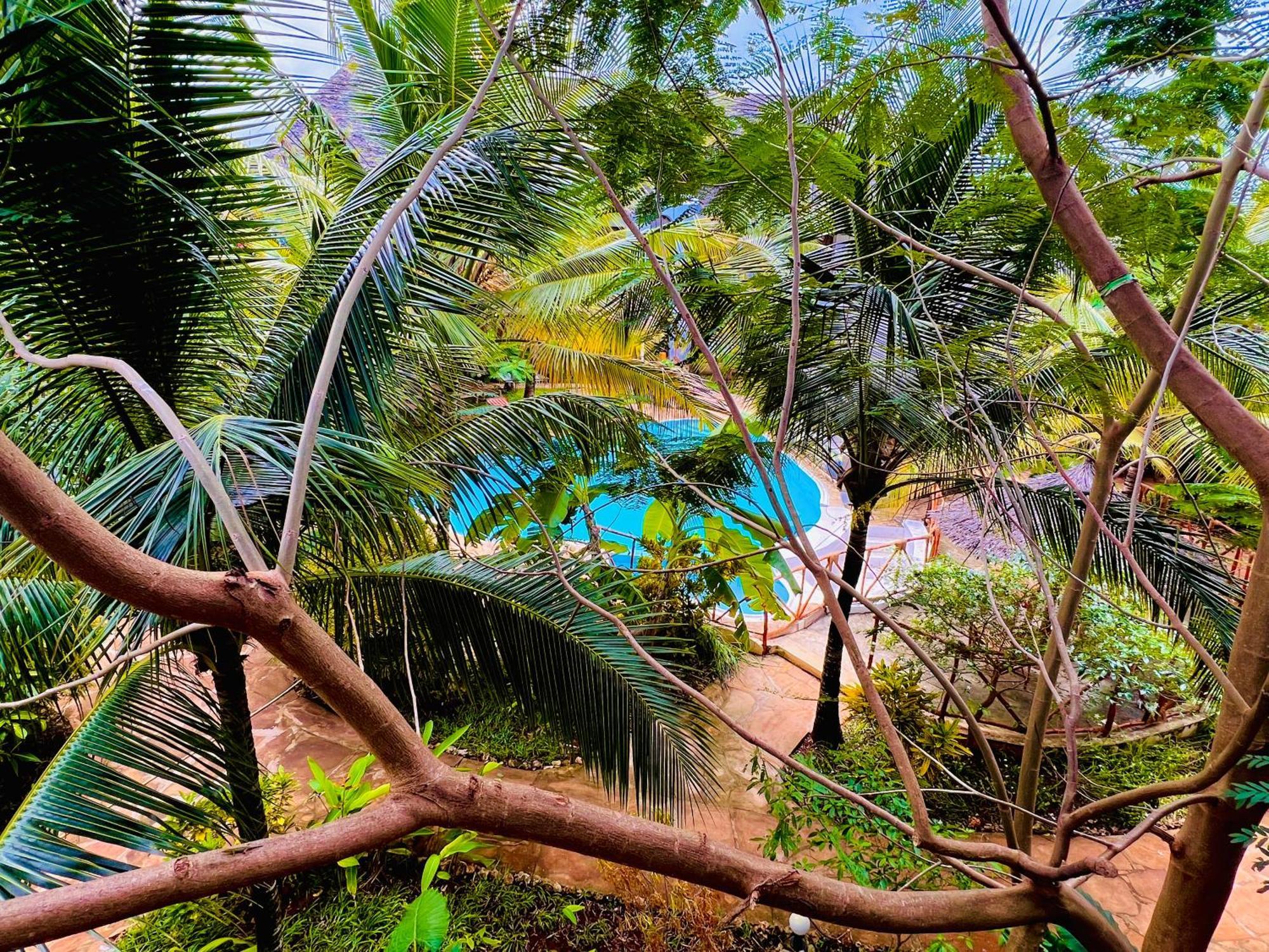 Tropical Nungwi Hotel Kültér fotó