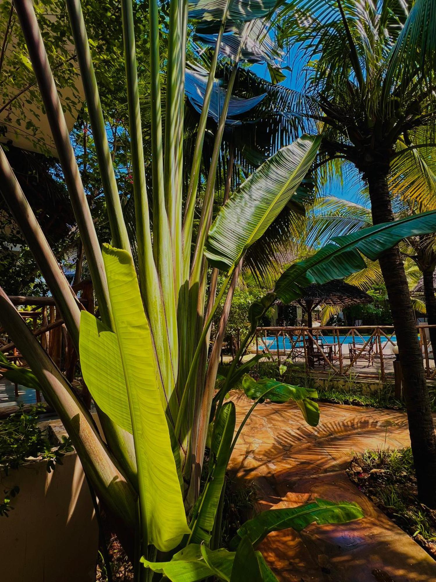 Tropical Nungwi Hotel Kültér fotó