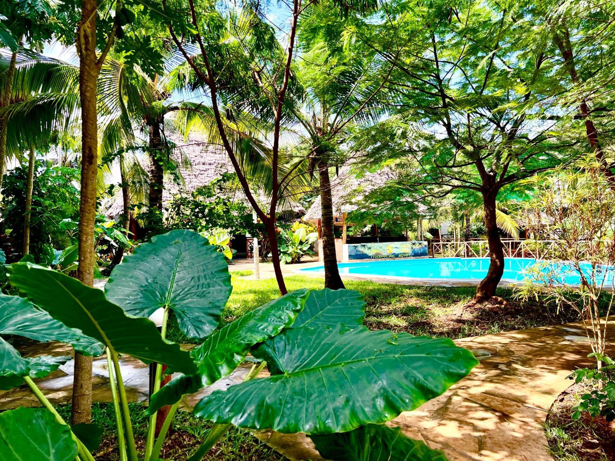 Tropical Nungwi Hotel Kültér fotó